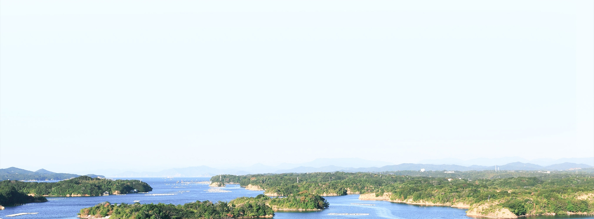 來自珍珠的化粧品