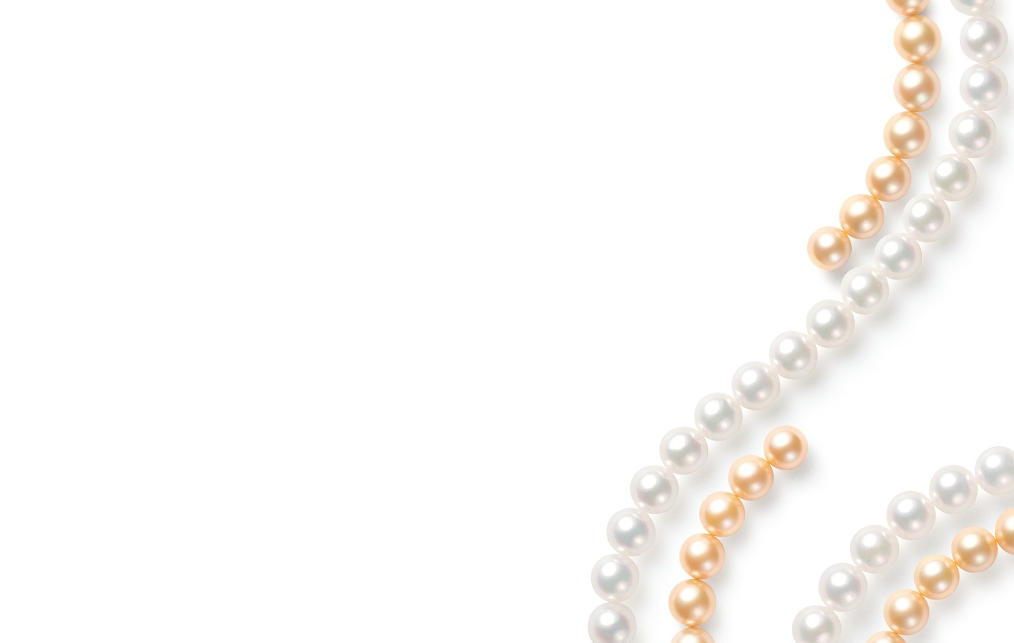 珍珠與MIKIMOTO COSMETICS